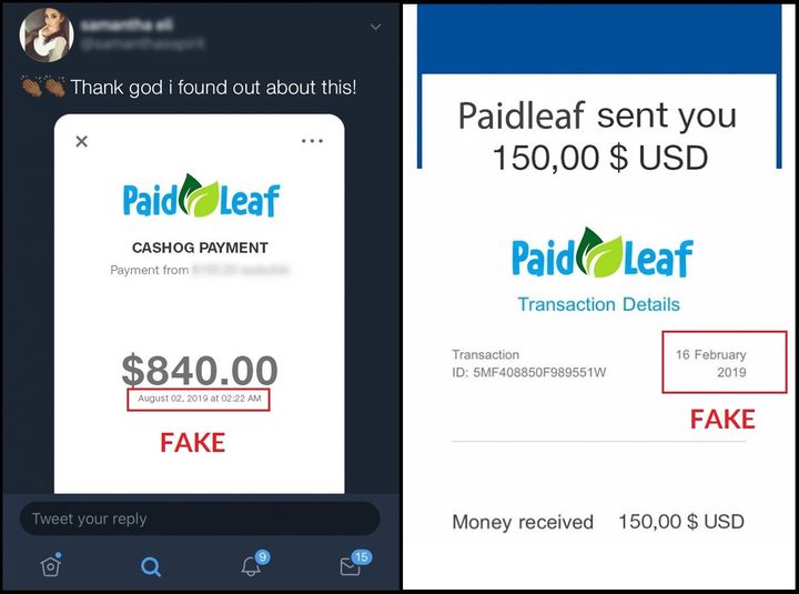 PaifLeaf Fake Payment Proof
