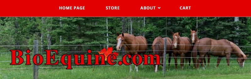 BioEquine Affiliate Programs