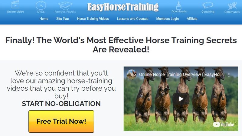 Easy Horse Training affiliate program