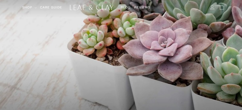 Leaf & Clay Affiliate Program