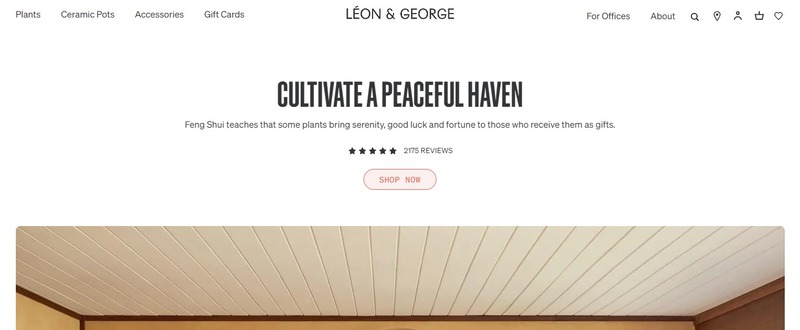 Leon & George Affiliate Program