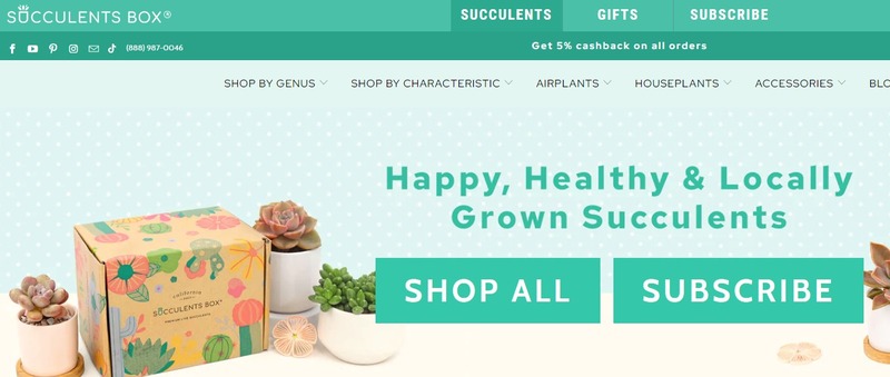 Succulents Box Affiliate Program