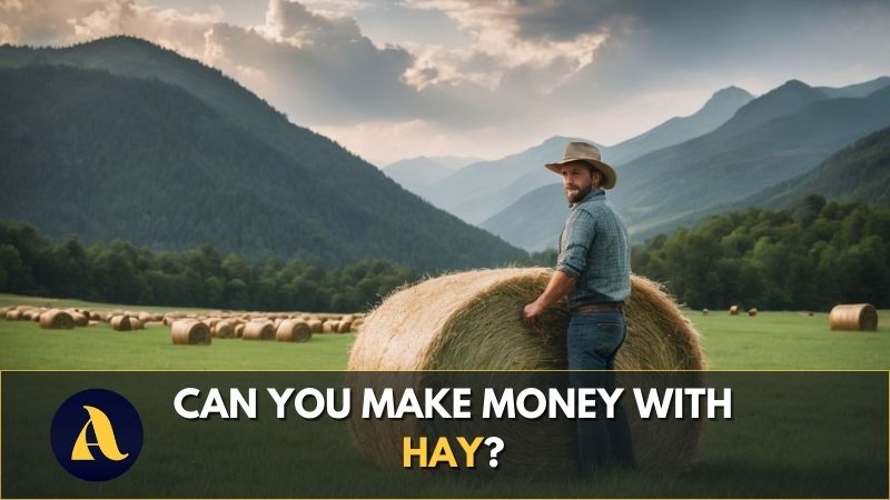 Can you make money with hay