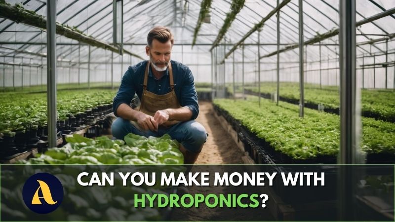 Can you make money with hydroponics