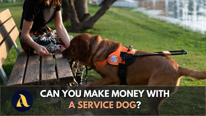 Can you make money with a service dog